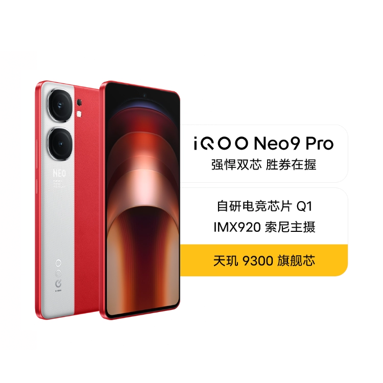 【付属品あり】iQOO Neo9 12GB/256GB smartfan_875983275985923